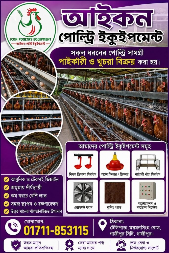 চায়না মডেল খাচার জন্য যোগাযোগ করুন আমাদের সাথে।
01711-853115
